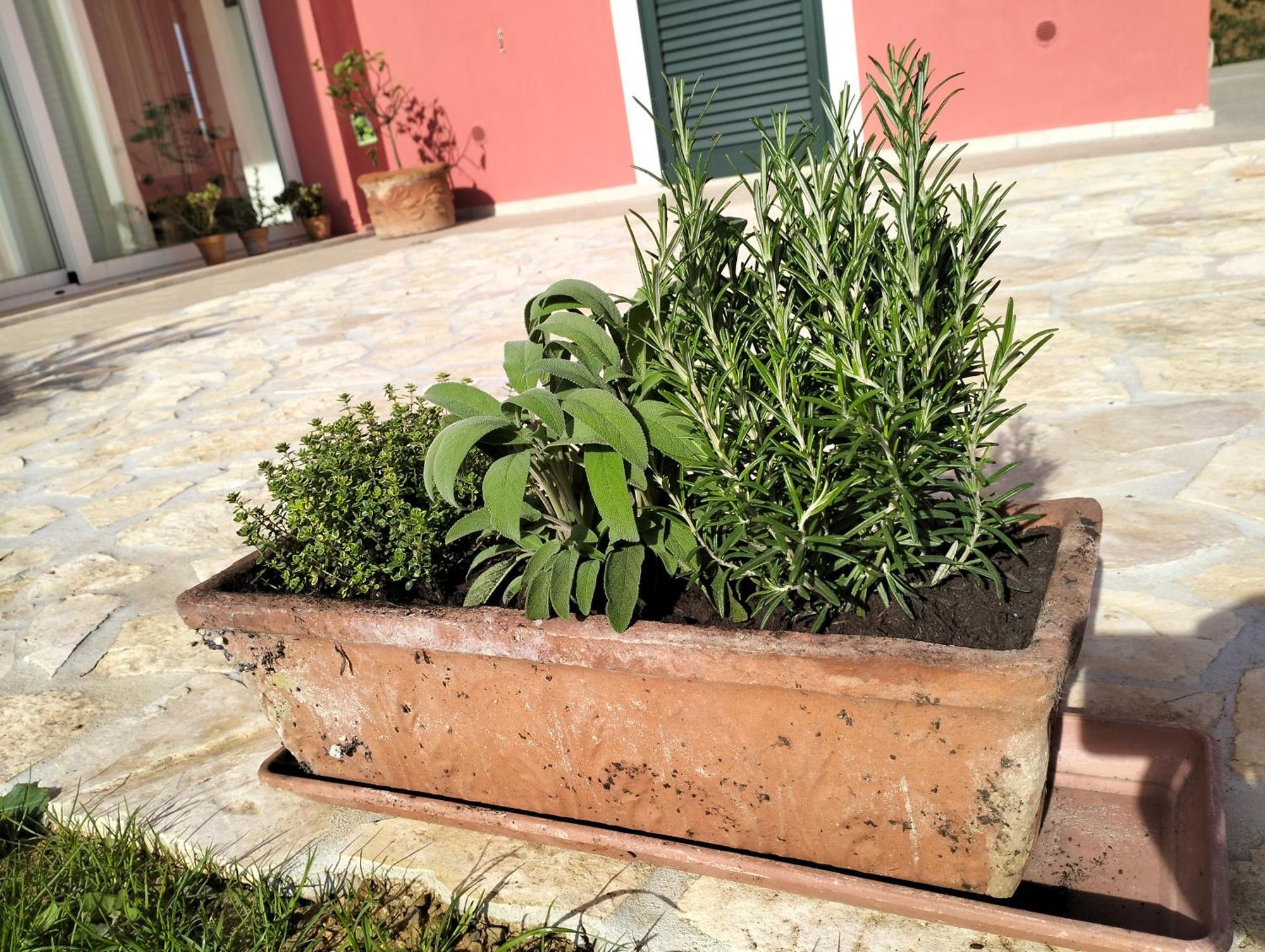 Villetta Fedora Immersa Nel Verde Cecina  Exterior foto